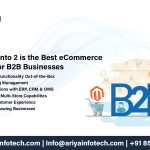Why Magento 2 is the Best eCommerce Platform for B2B Businesses