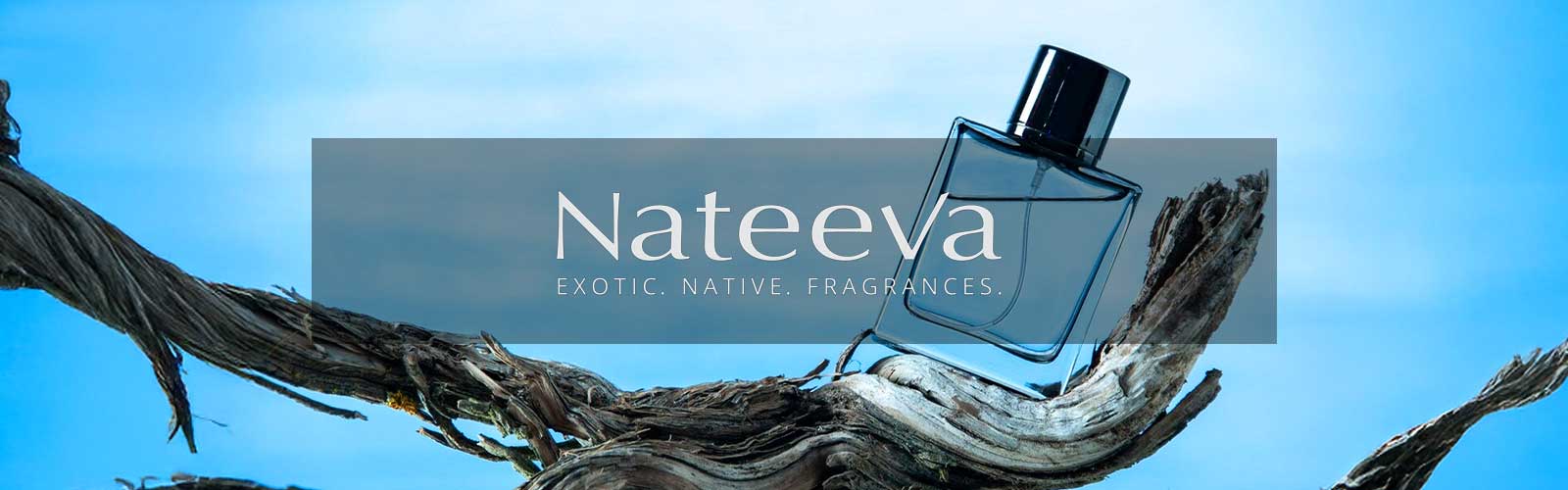 Nateeva Case Study | Ariya InfoTech