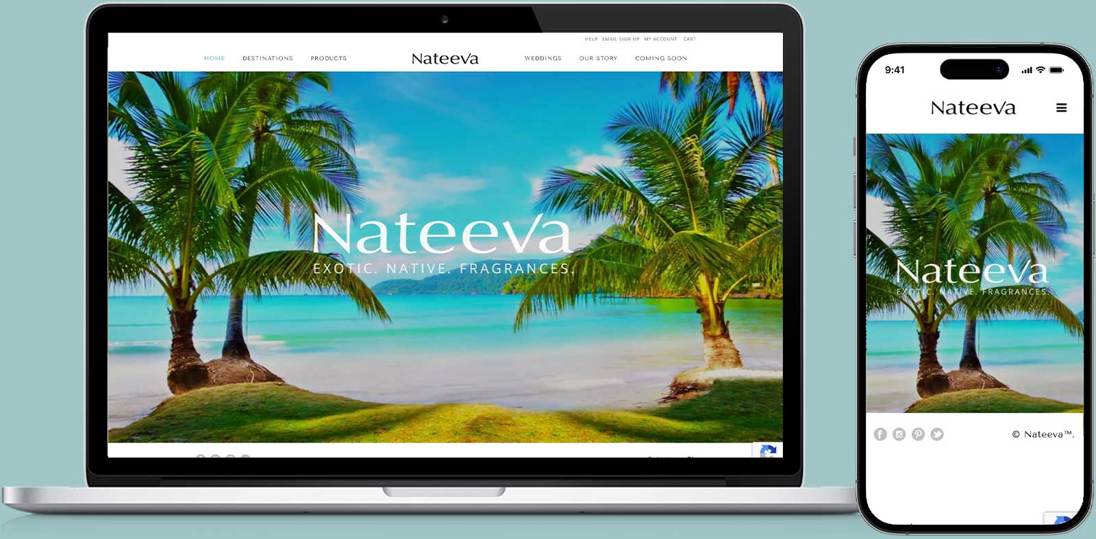 Nateeva Case Study | Ariya InfoTech