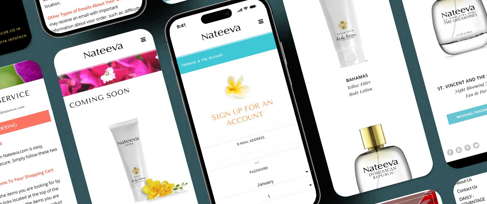 Nateeva Case Study | Ariya InfoTech