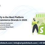 Why Shopify is the Best Platform for D2C eCommerce Brands in 2025
