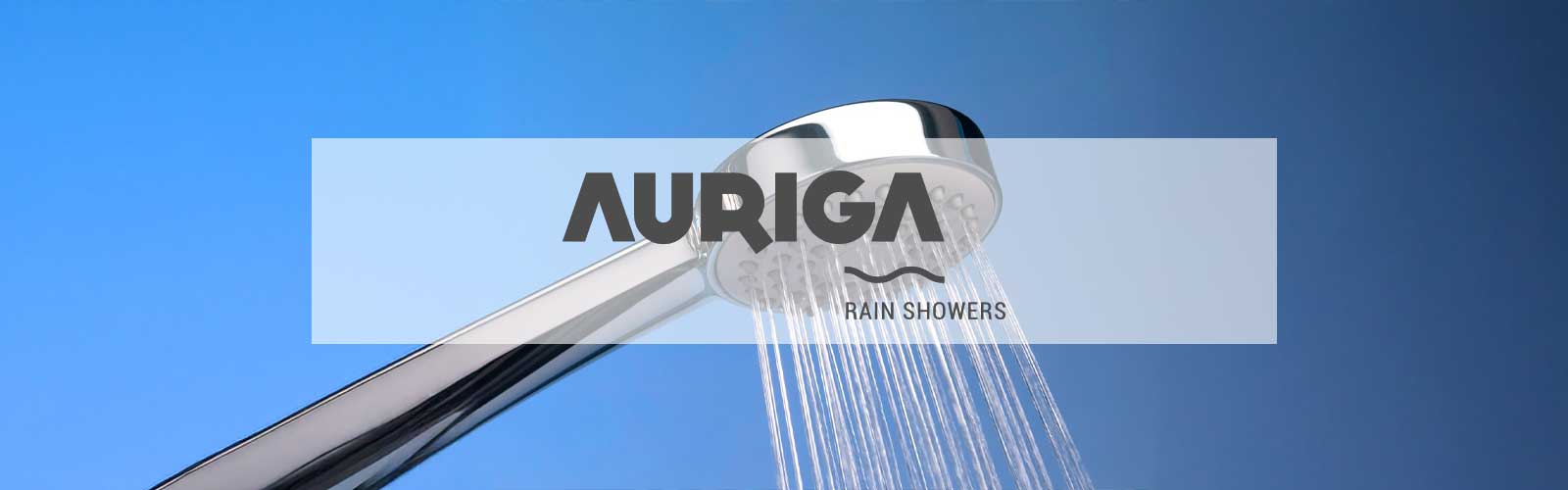Auriga Case Study | Ariya InfoTech