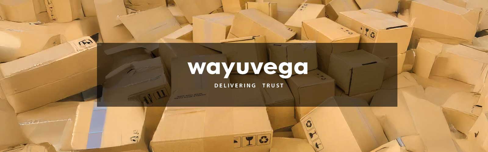 Wayuvega Case Study | Ariya InfoTech